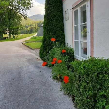 Taverne Langau (Horn)